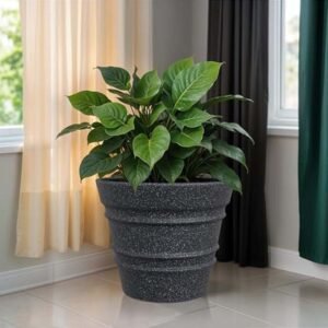 Flower Pots